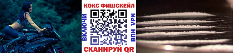где найти   Сосенский  COCAIN 99% 