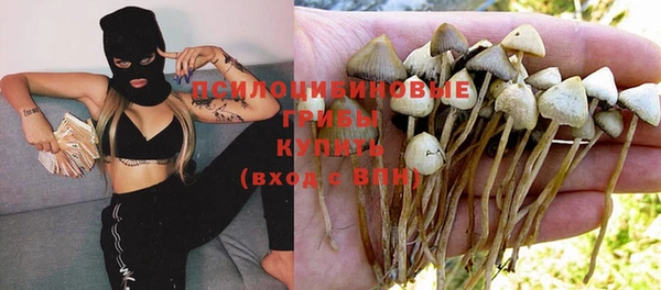 прущий лед Аркадак
